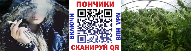 mega рабочий сайт Чайковский Канабис Bruce Banner
